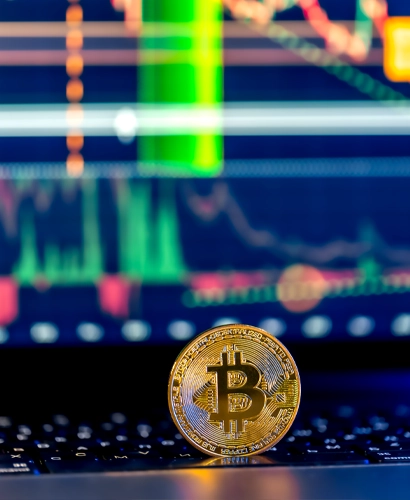 TürkDoğa Yatırım Ticaret Bilgileri